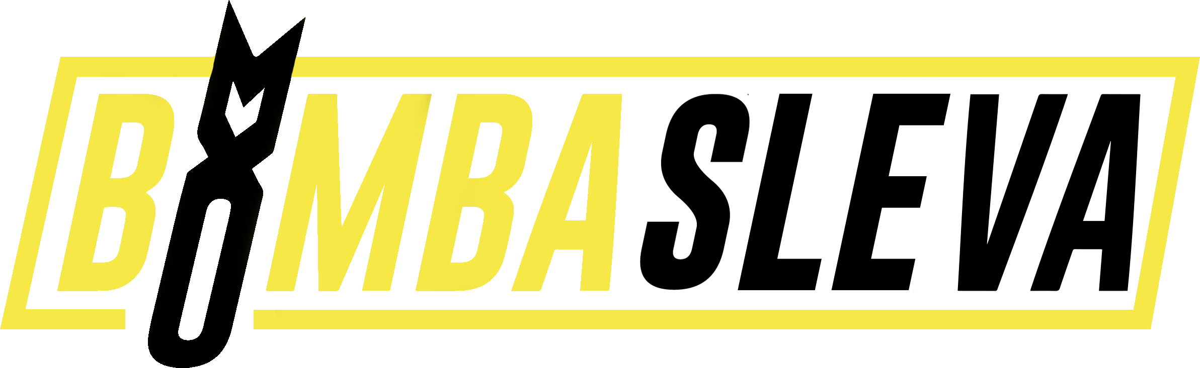 logo-CZ (1)
